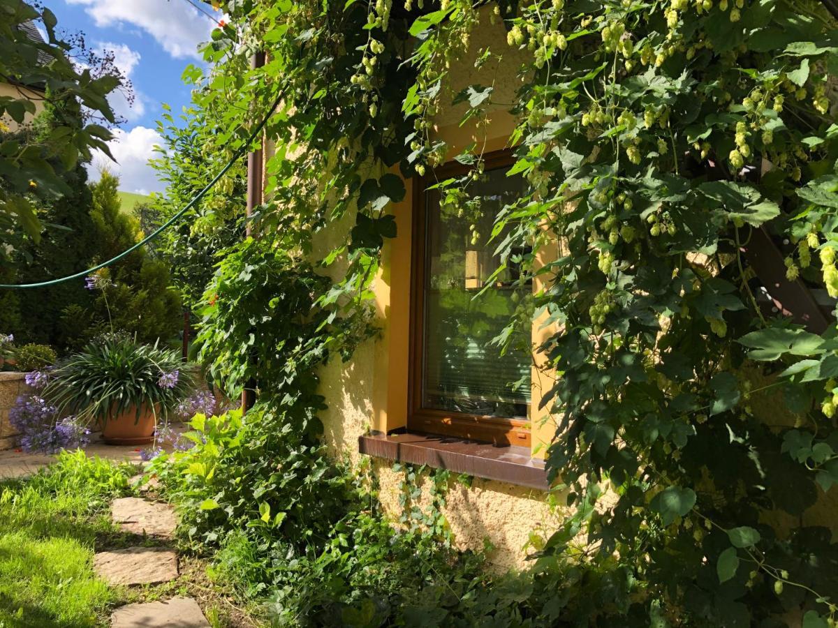 Ferienhaus Erzgebirge "An Der Trebe" Mit Kamin Und Sauna Neuhausen  Exteriör bild