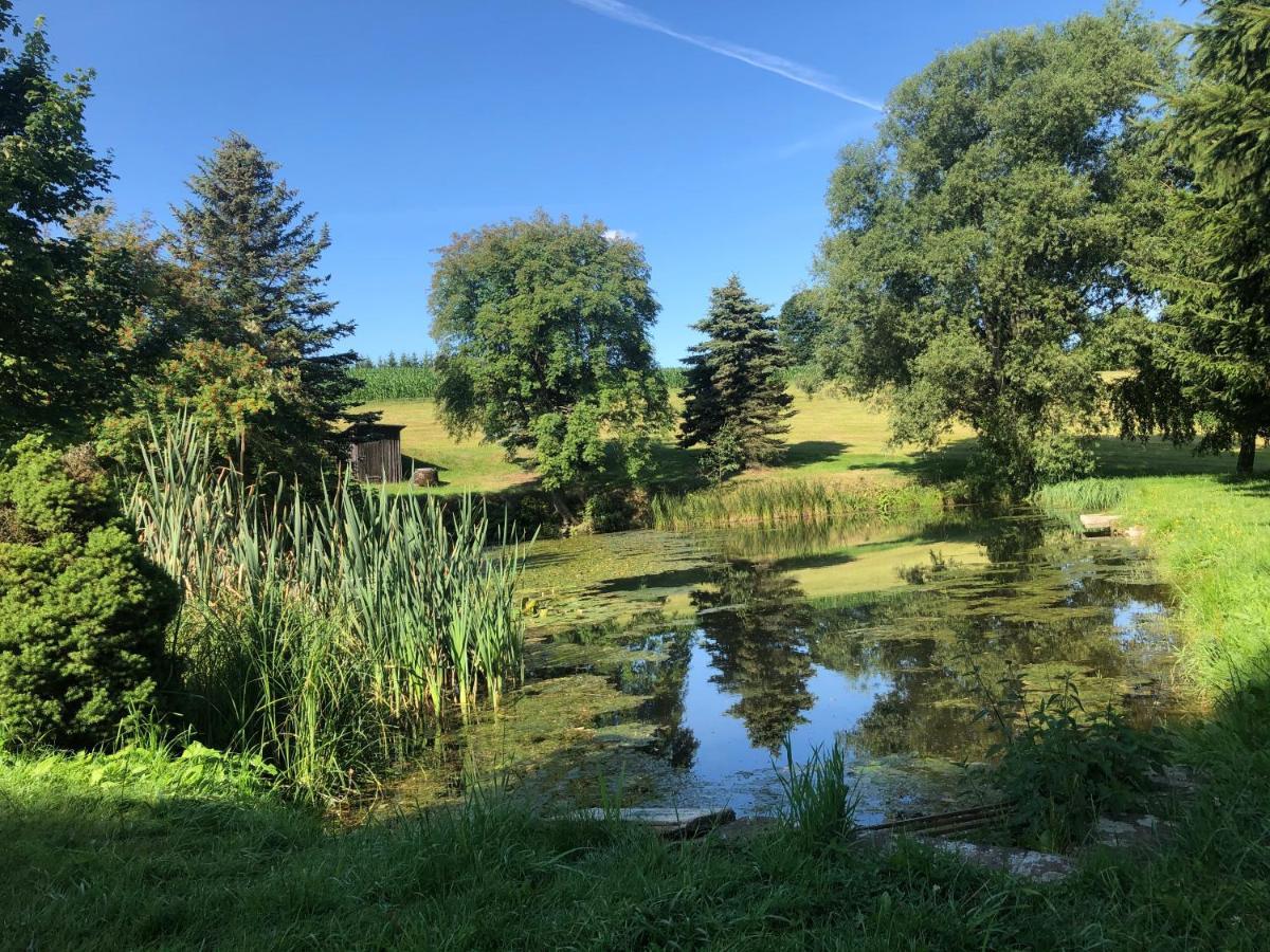 Ferienhaus Erzgebirge "An Der Trebe" Mit Kamin Und Sauna Neuhausen  Exteriör bild