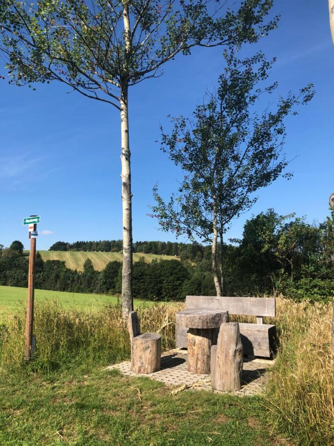 Ferienhaus Erzgebirge "An Der Trebe" Mit Kamin Und Sauna Neuhausen  Exteriör bild