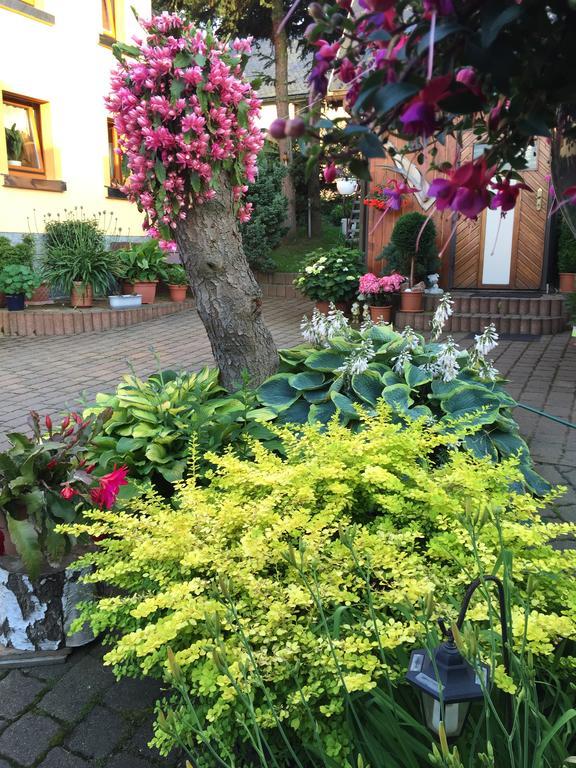 Ferienhaus Erzgebirge "An Der Trebe" Mit Kamin Und Sauna Neuhausen  Exteriör bild
