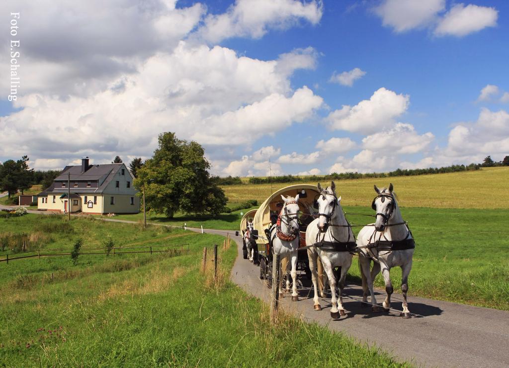 Ferienhaus Erzgebirge "An Der Trebe" Mit Kamin Und Sauna Neuhausen  Exteriör bild