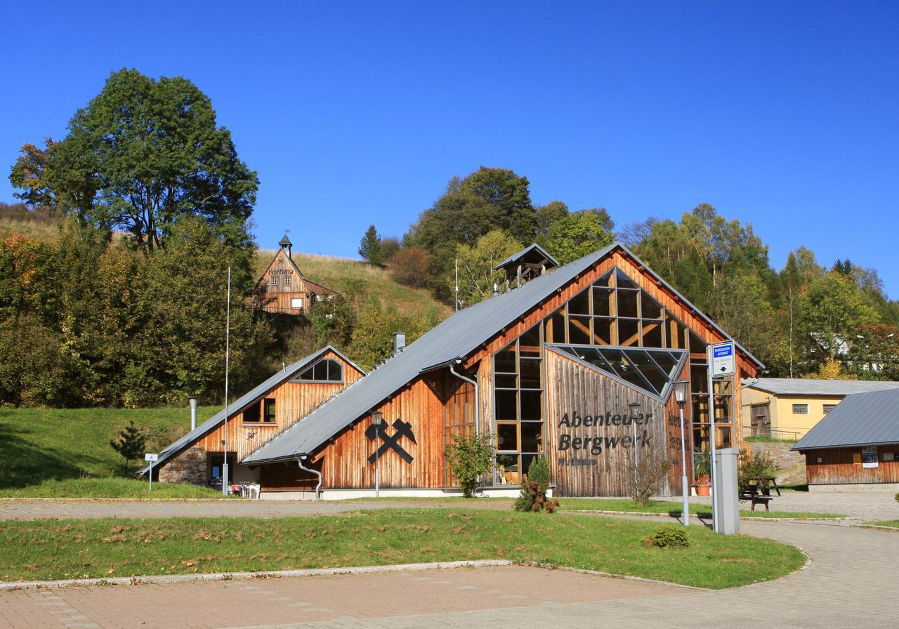 Ferienhaus Erzgebirge "An Der Trebe" Mit Kamin Und Sauna Neuhausen  Exteriör bild