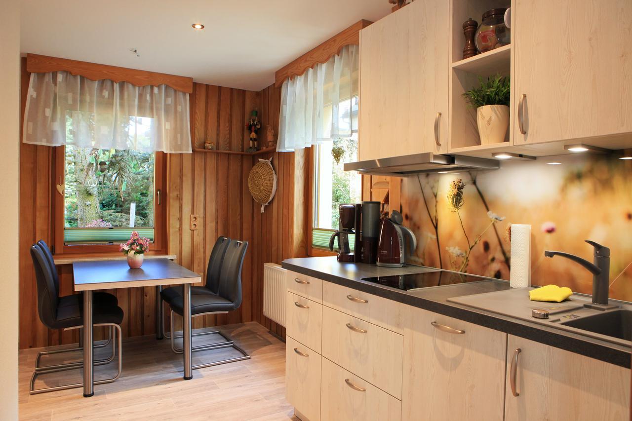Ferienhaus Erzgebirge "An Der Trebe" Mit Kamin Und Sauna Neuhausen  Exteriör bild